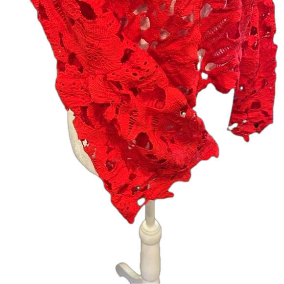 Red S/M cutwork lacy crop top with wide sleeves from above wrist buttons at neck - Picture 2 of 7